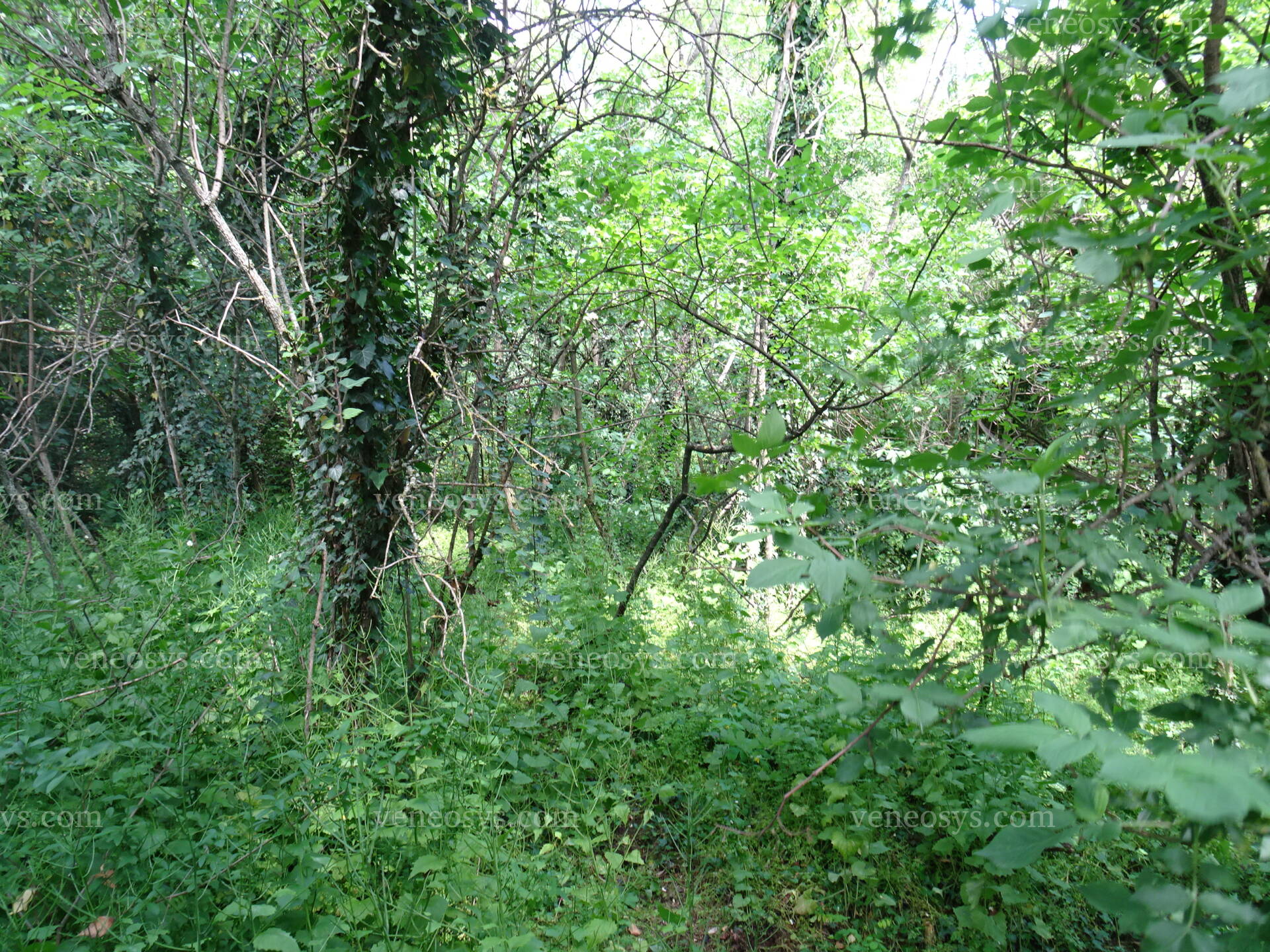 Kép 6