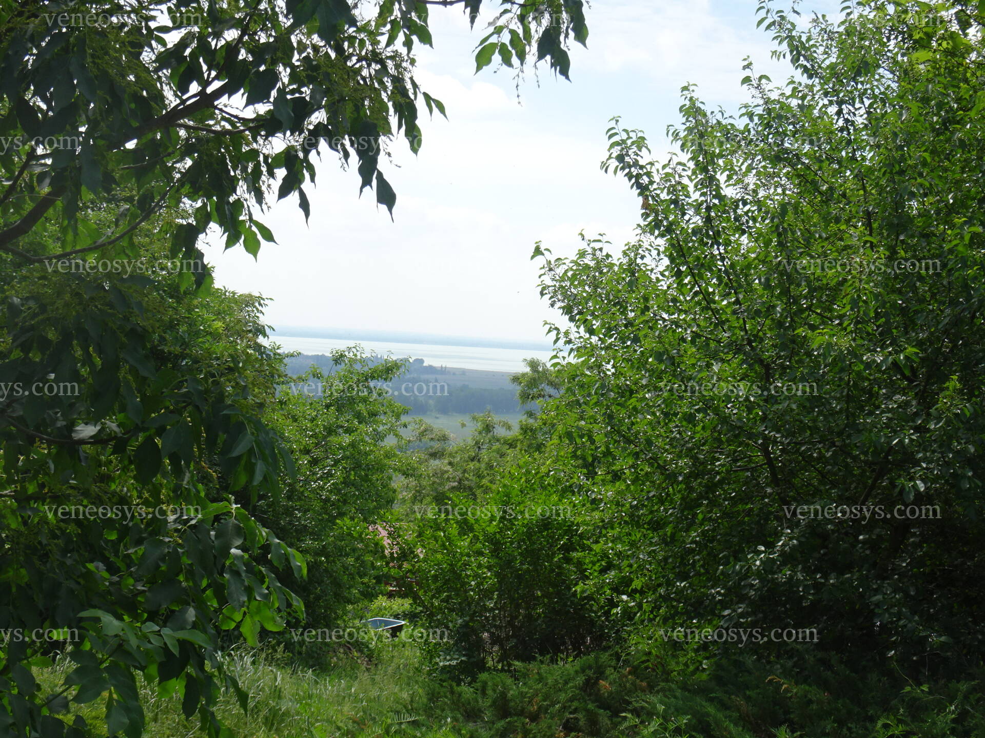 Kép 11