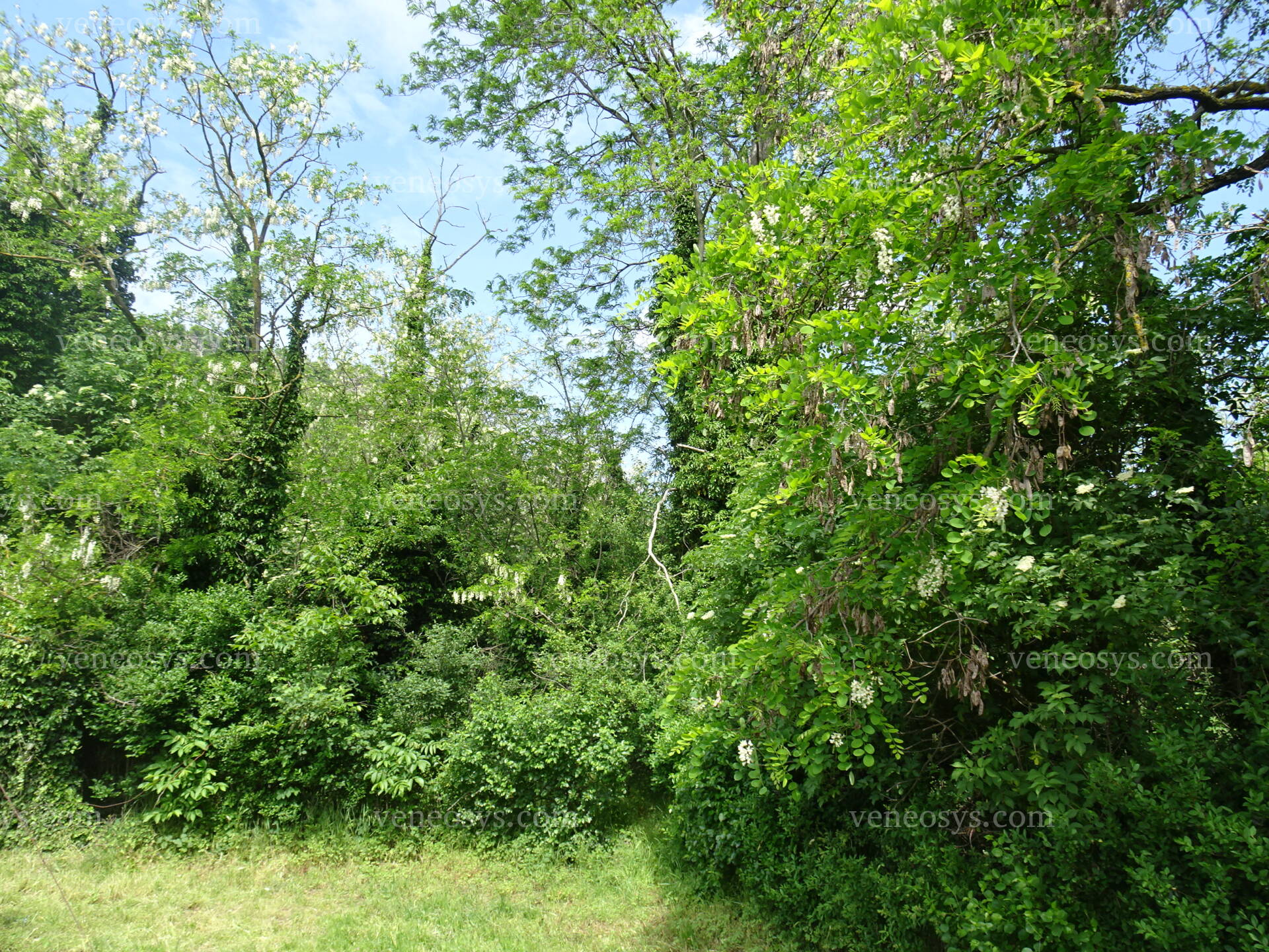 Kép 8