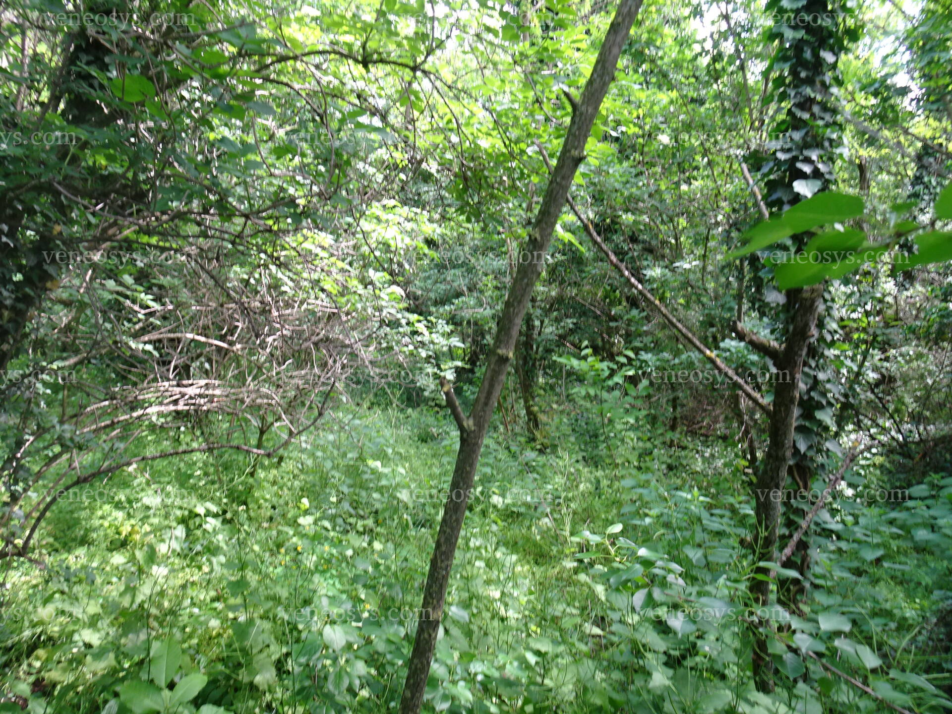 Kép 7