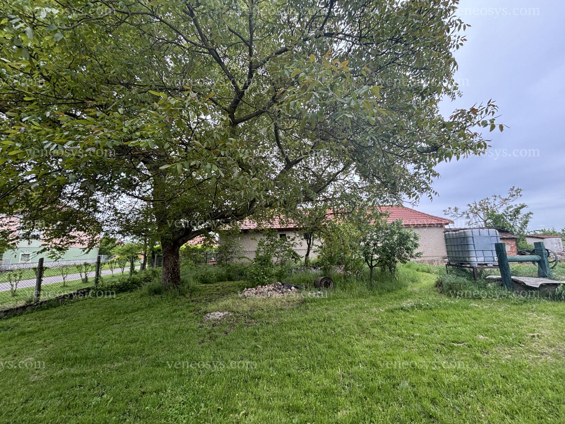 Kép 2