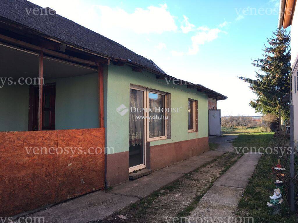 Kép 7