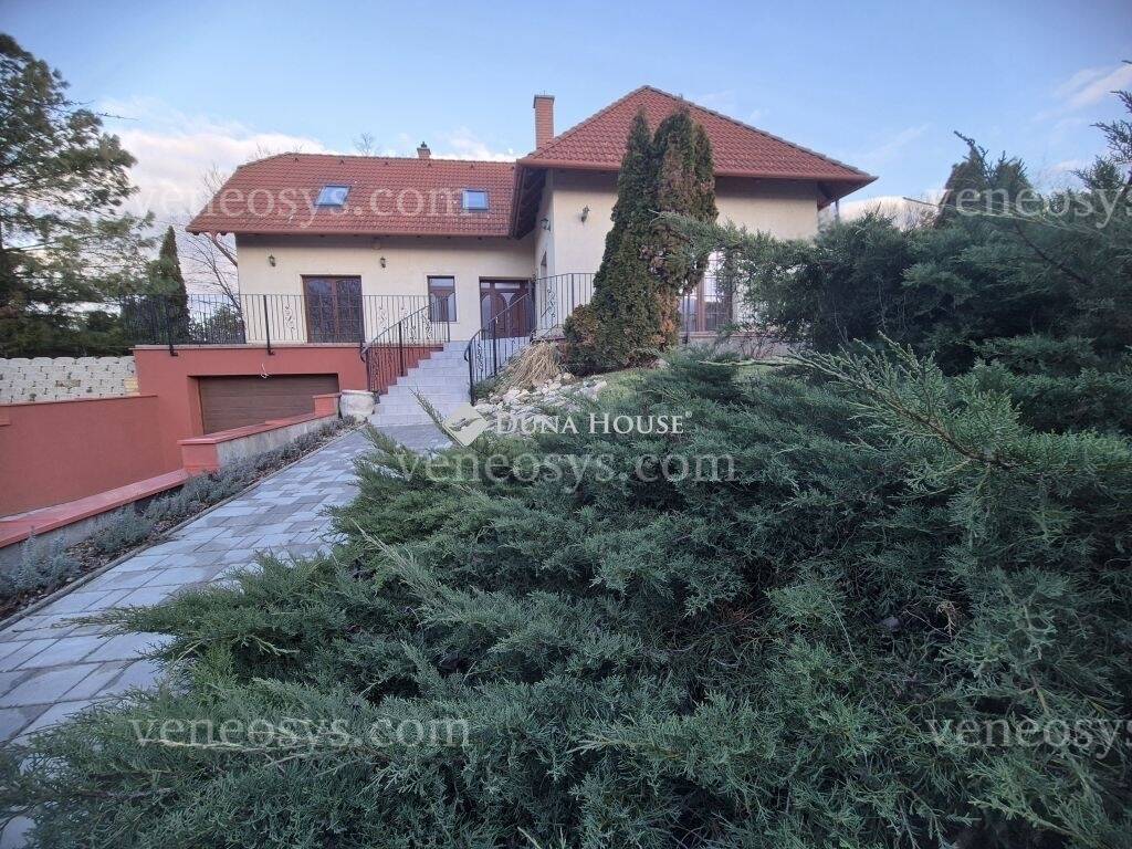 Kép 8
