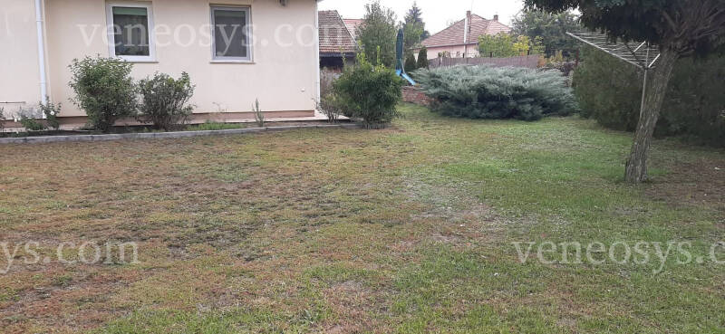 Kép 11