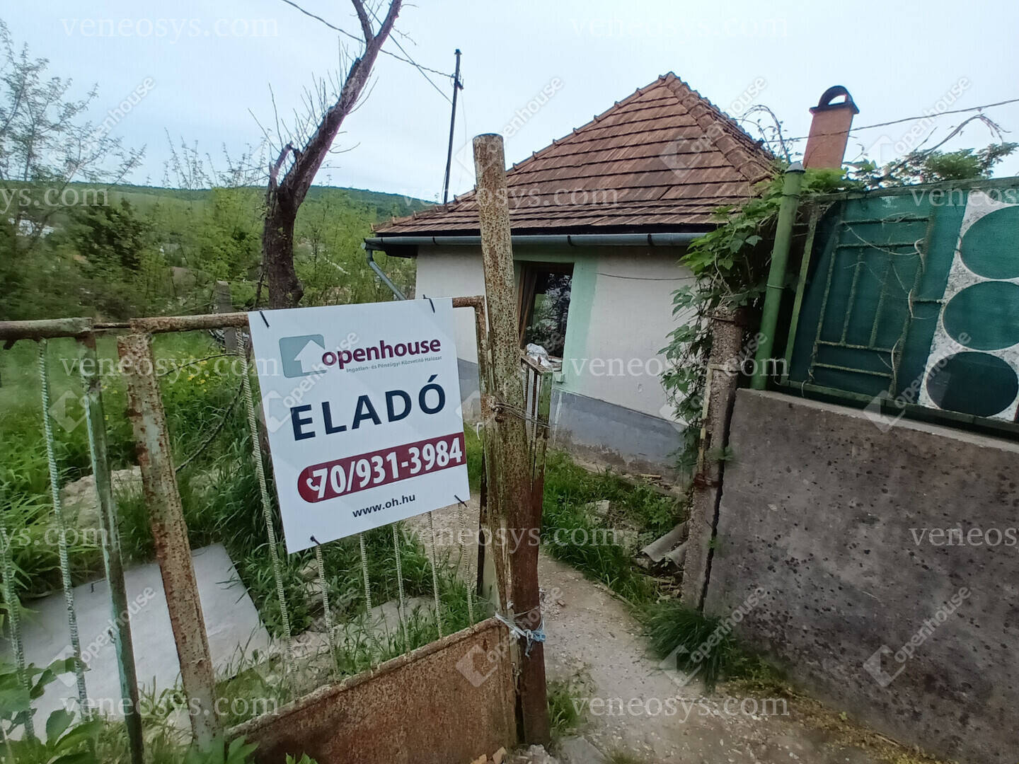 Kép 2