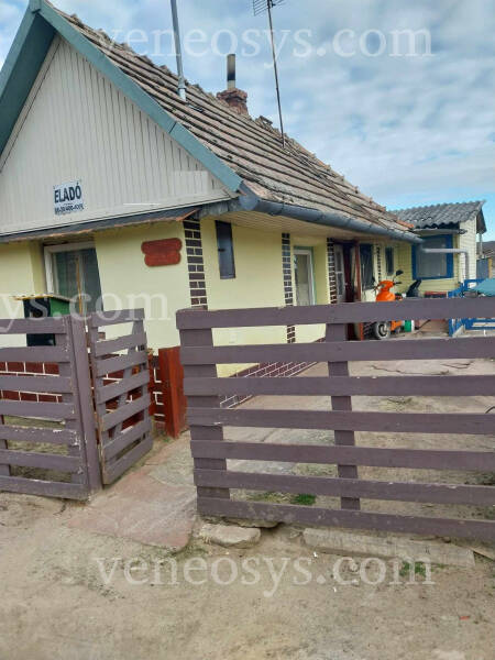 Kép 1