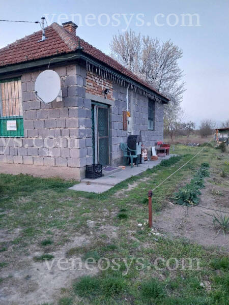 Kép 9