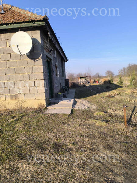 Kép 13