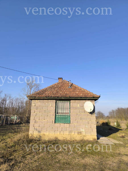 Kép 12