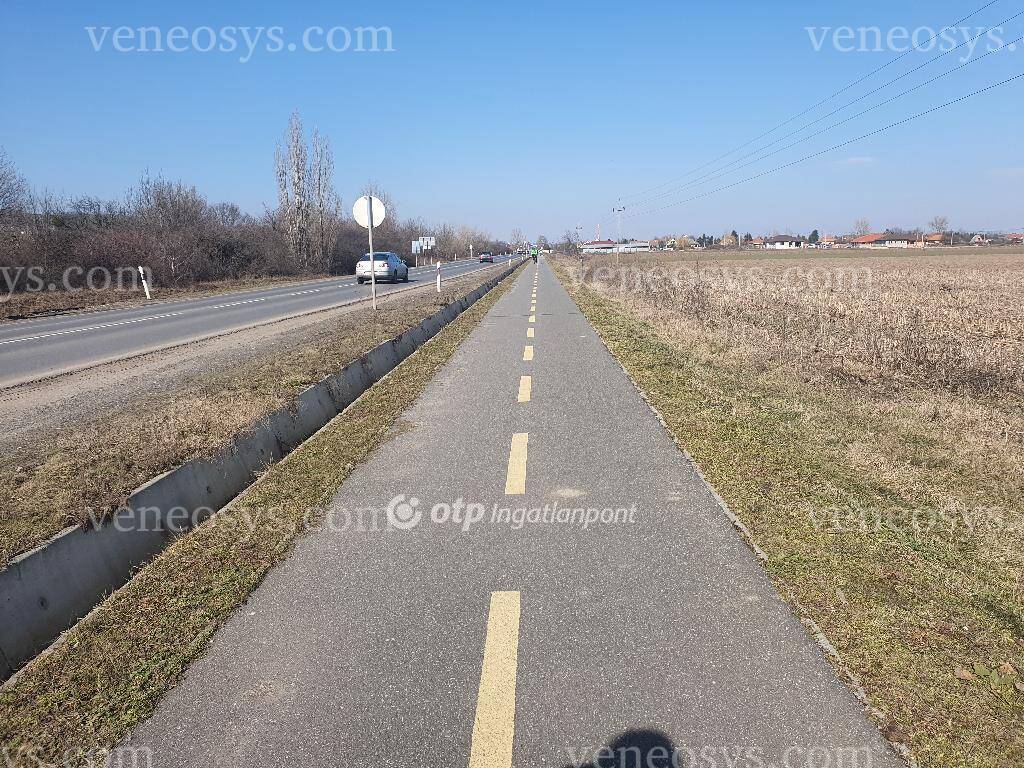 Kép 5