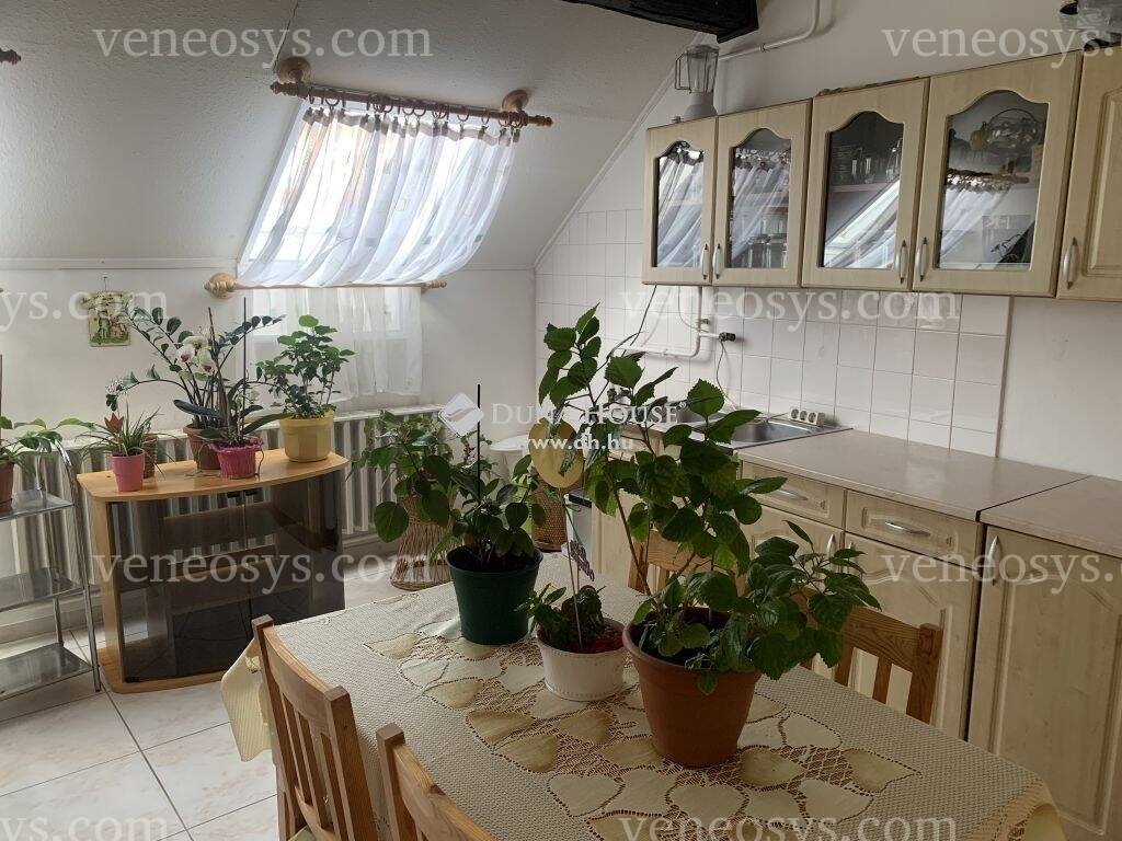 Kép 19