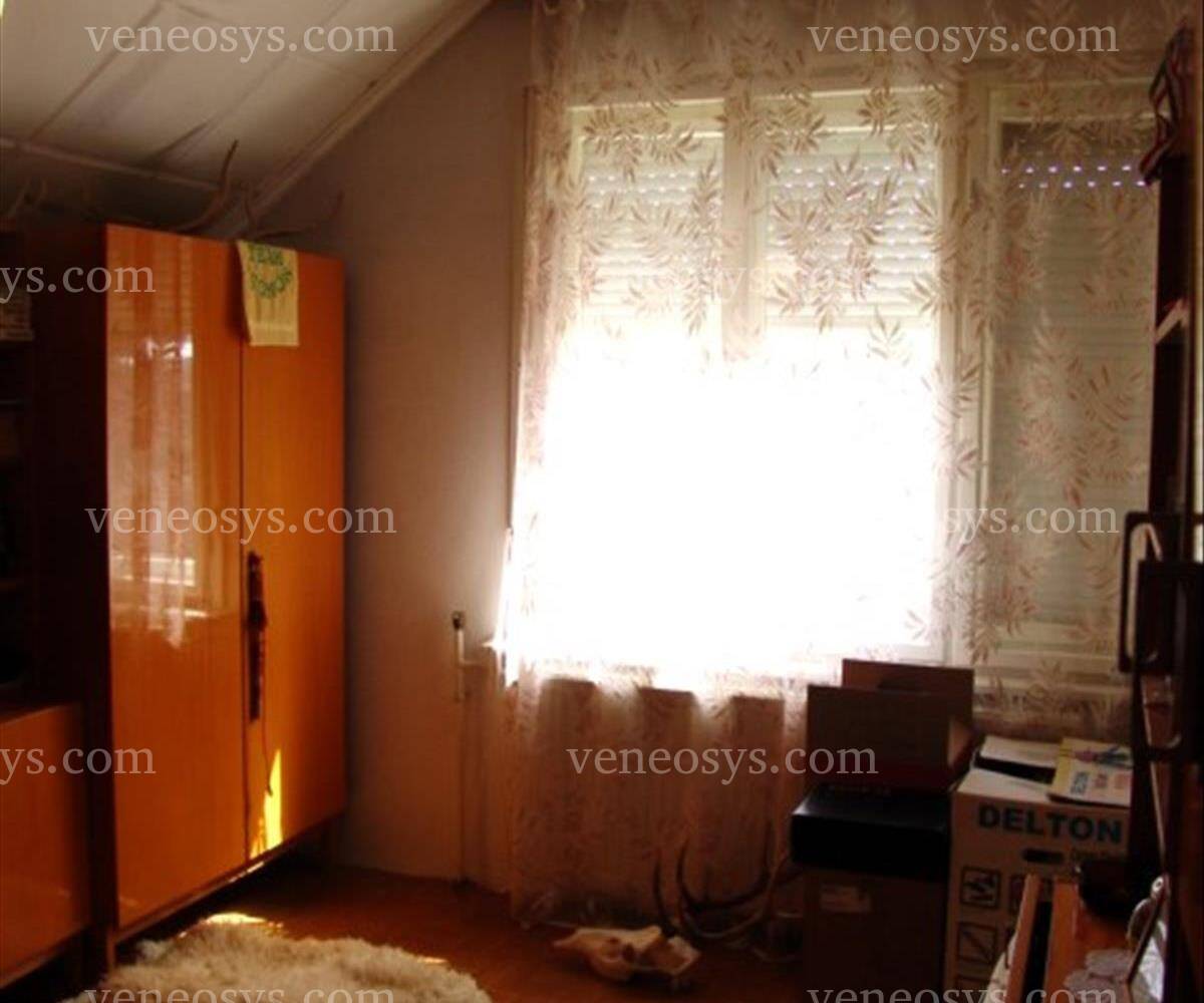 Kép 7