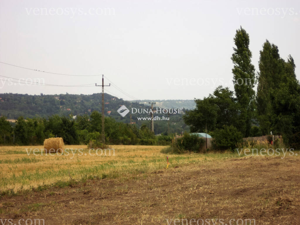 Balatonkenese