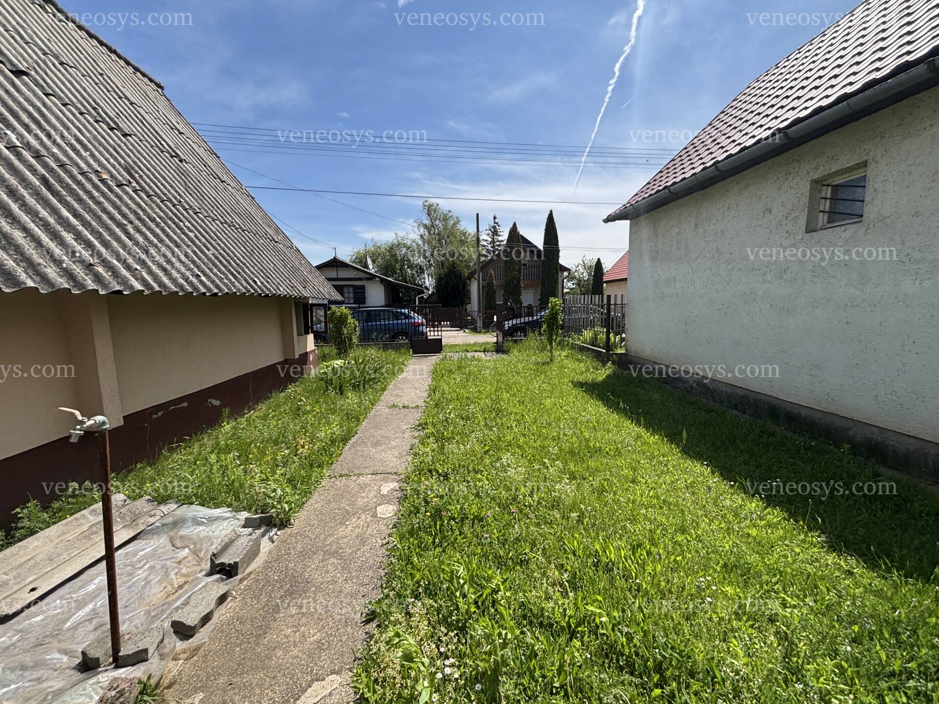 Kép 7