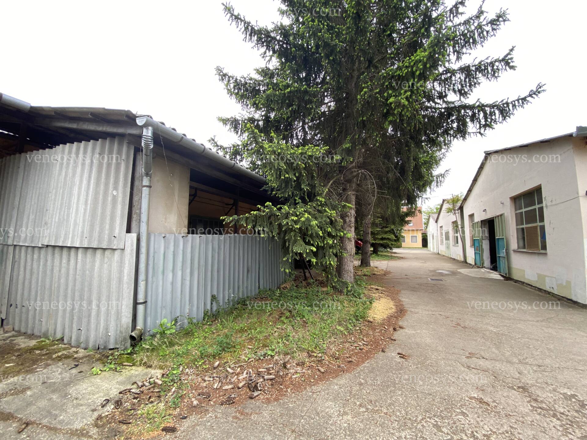 Kép 27