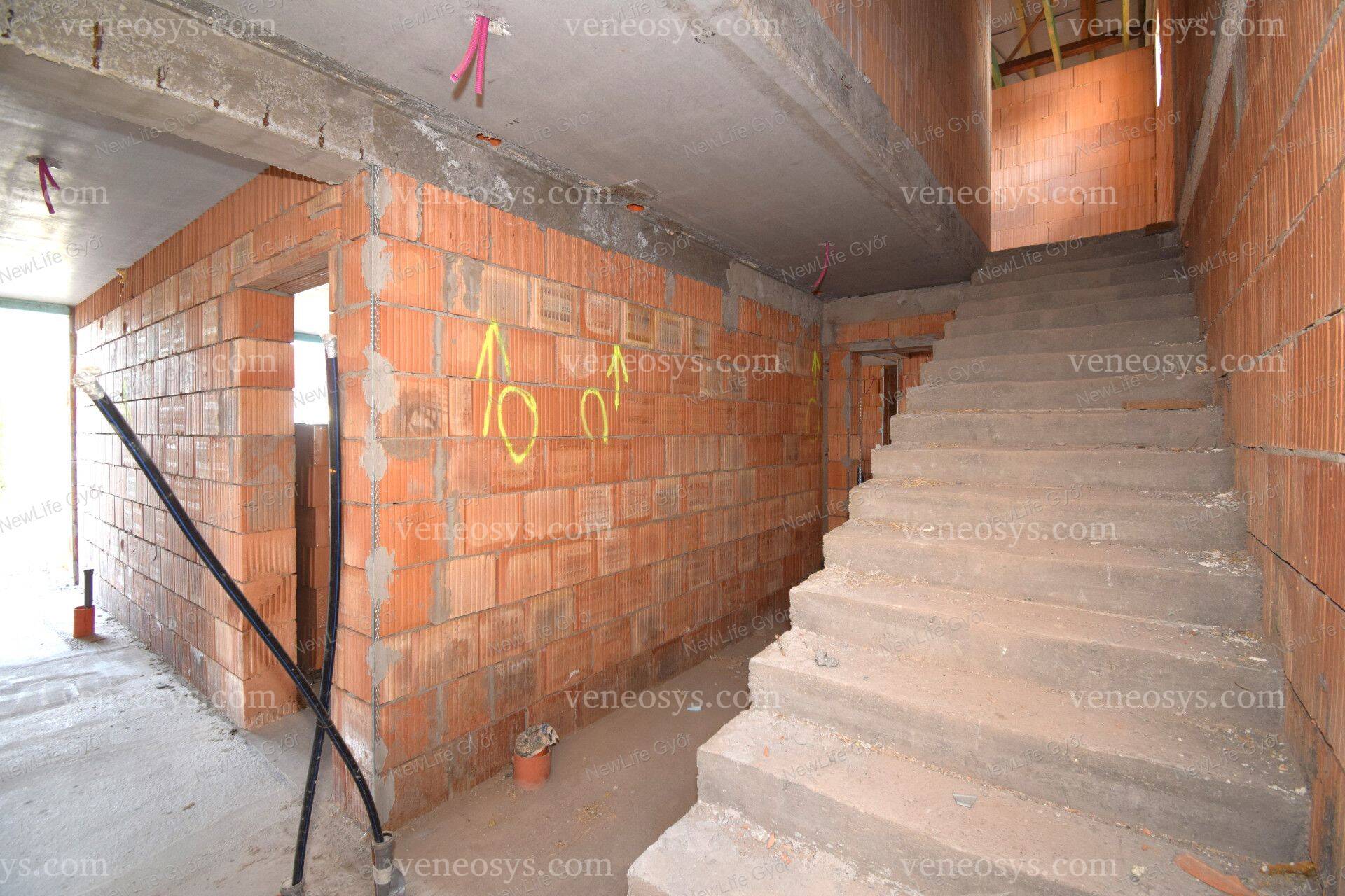 Kép 7