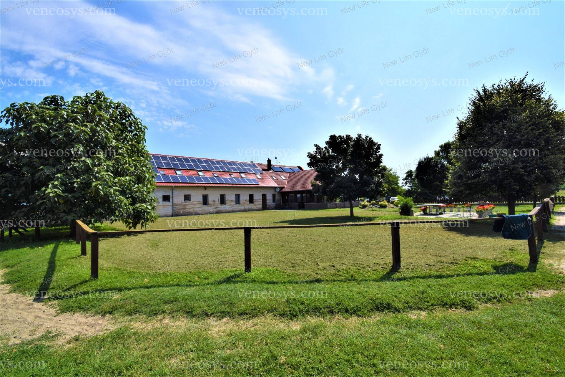 Kép 5