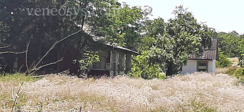 Kép 2