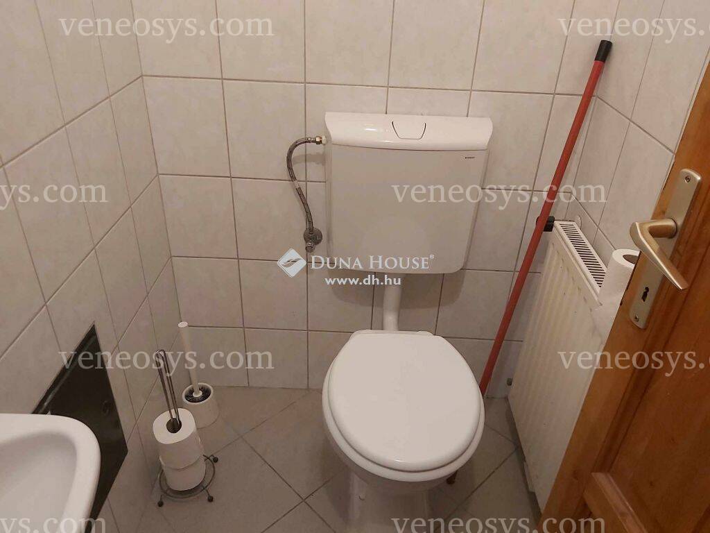 Kép 8