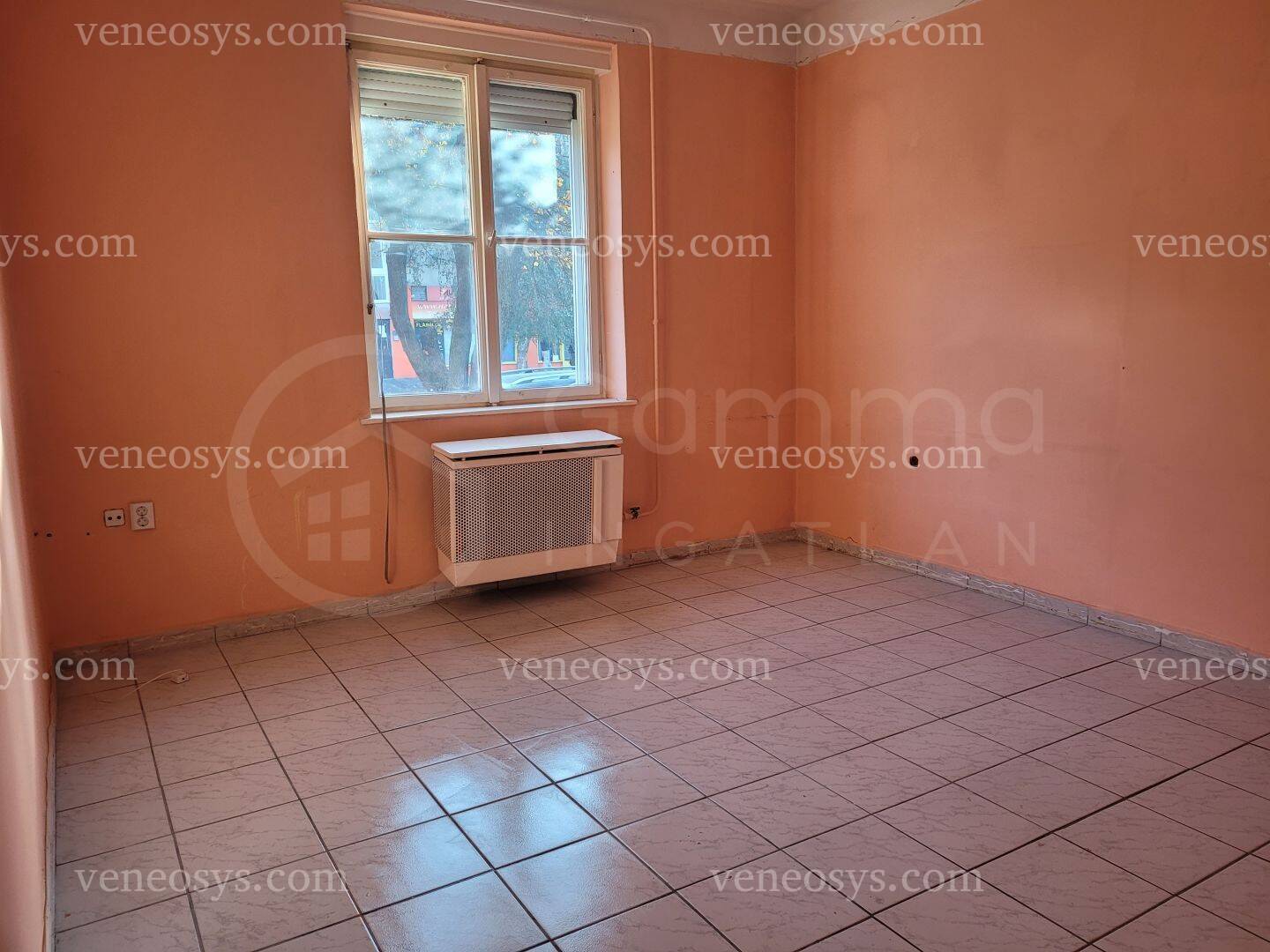 Kép 5