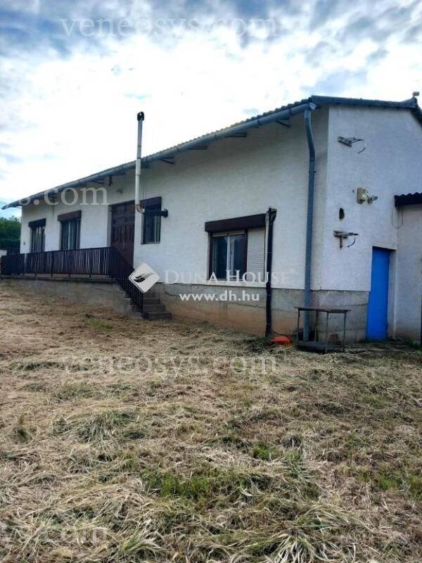 Kép 4