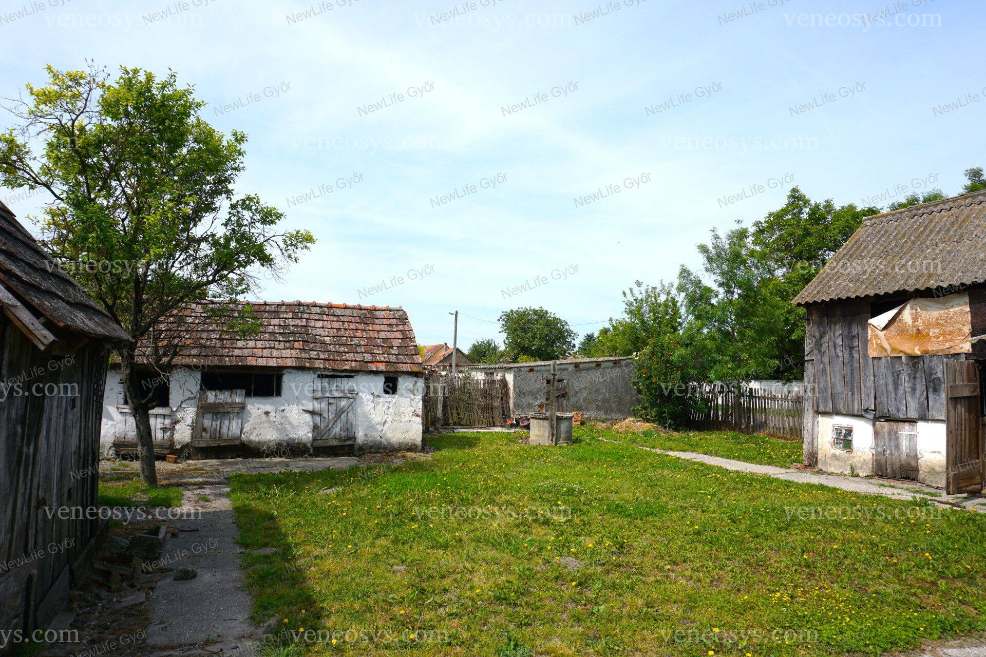 Kép 8