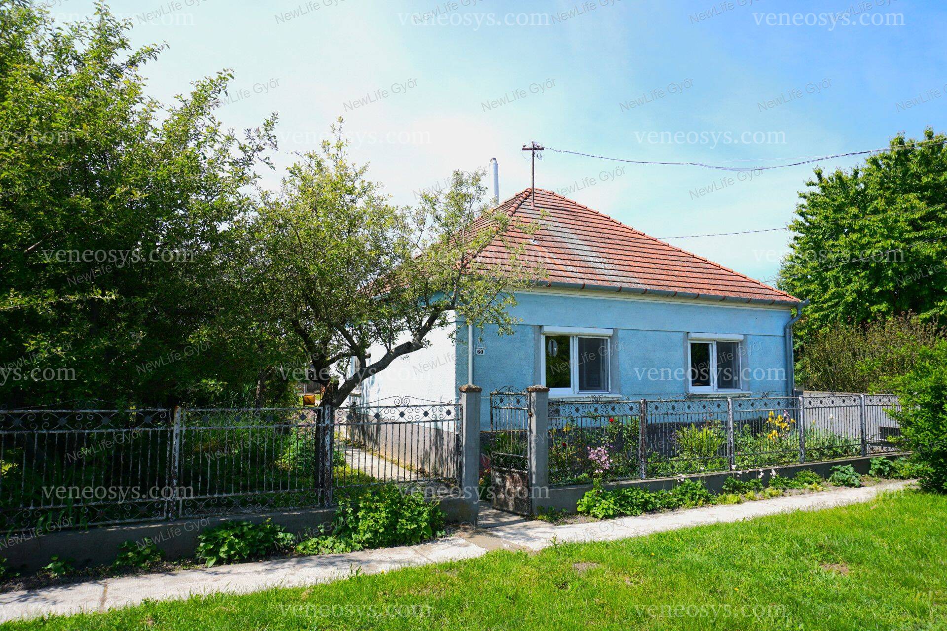 Kép 10