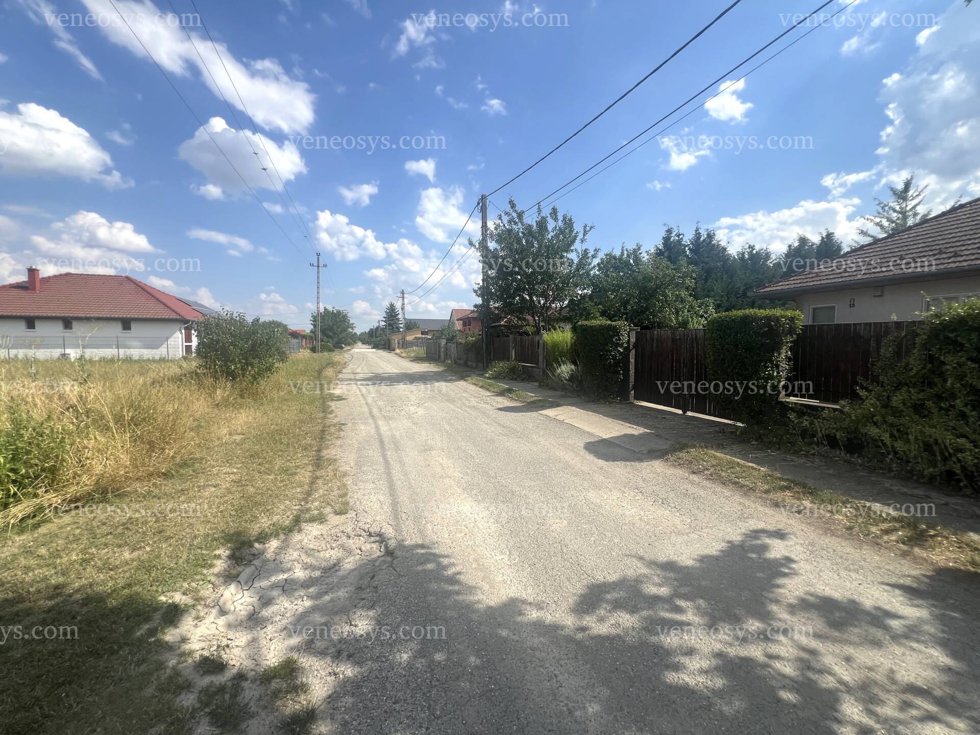 Kép 12