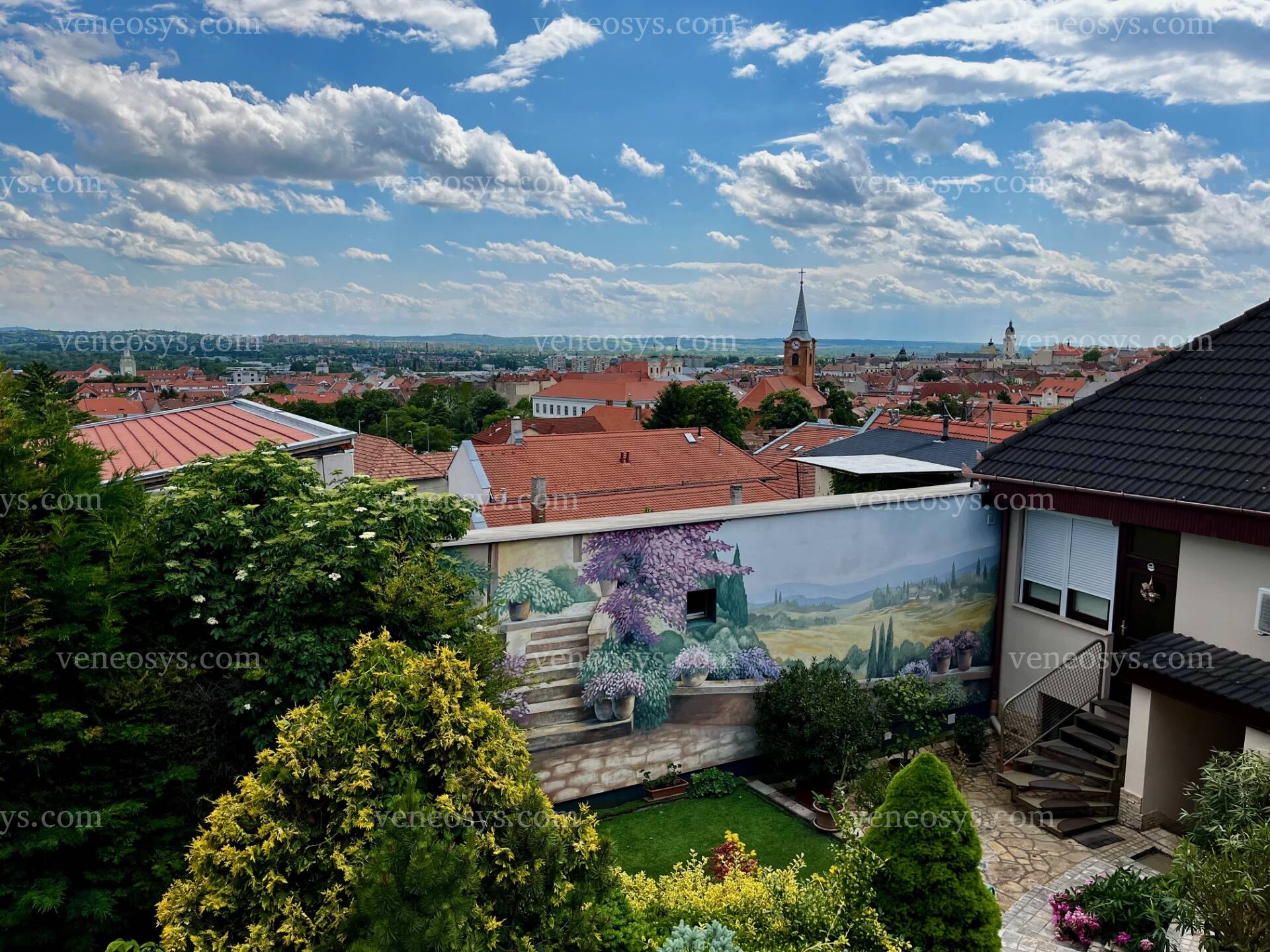 Kép 7