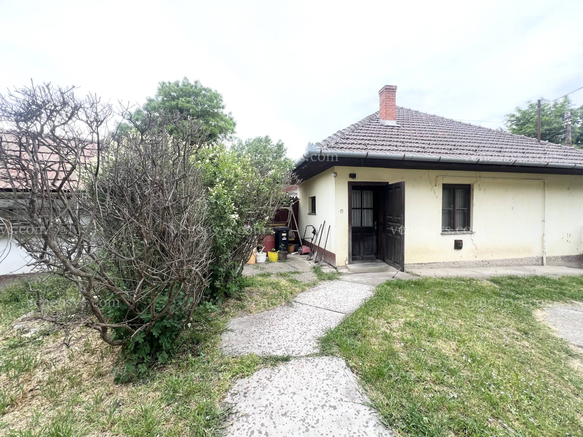 Kép 11