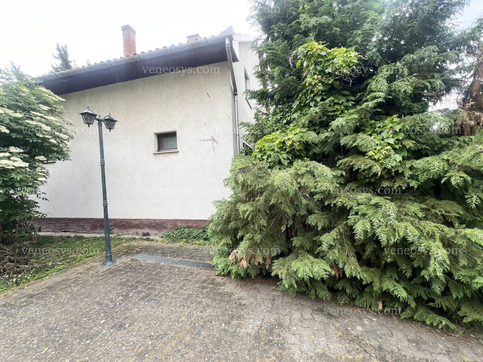 Kép 4