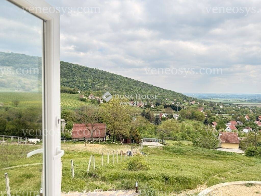 Kép 6