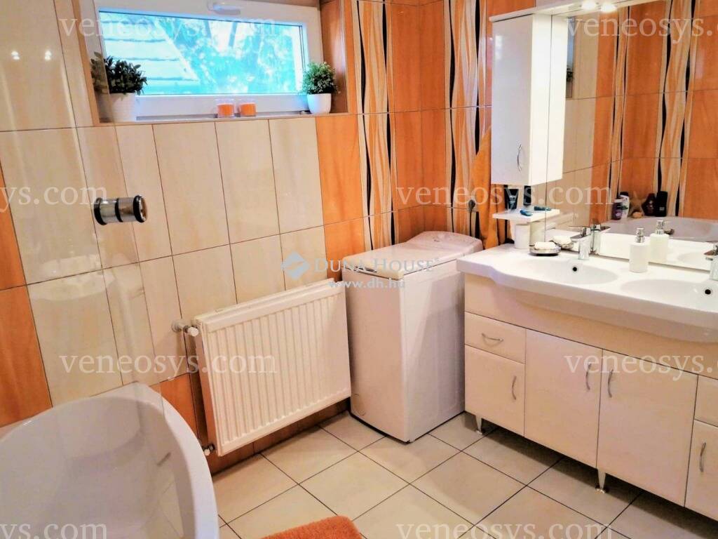 Kép 10