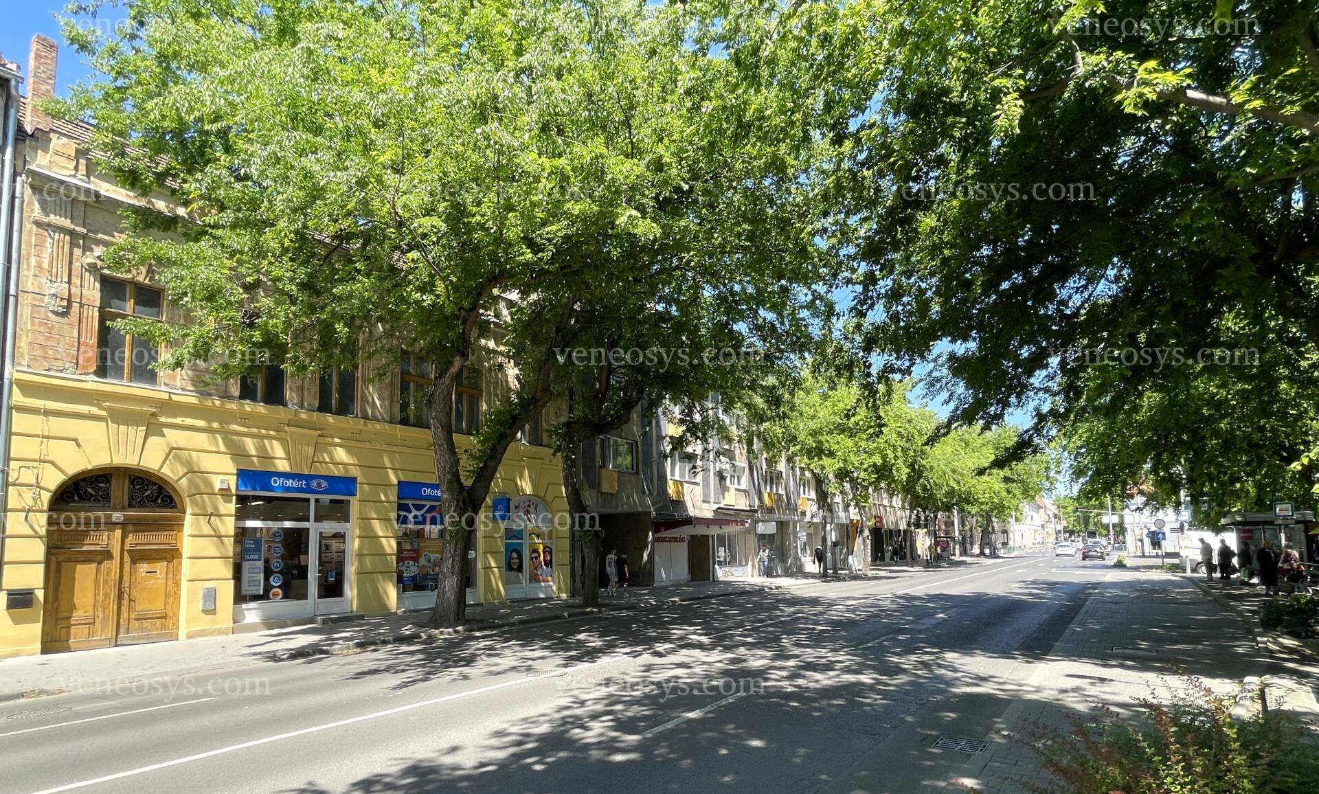 Kép 32