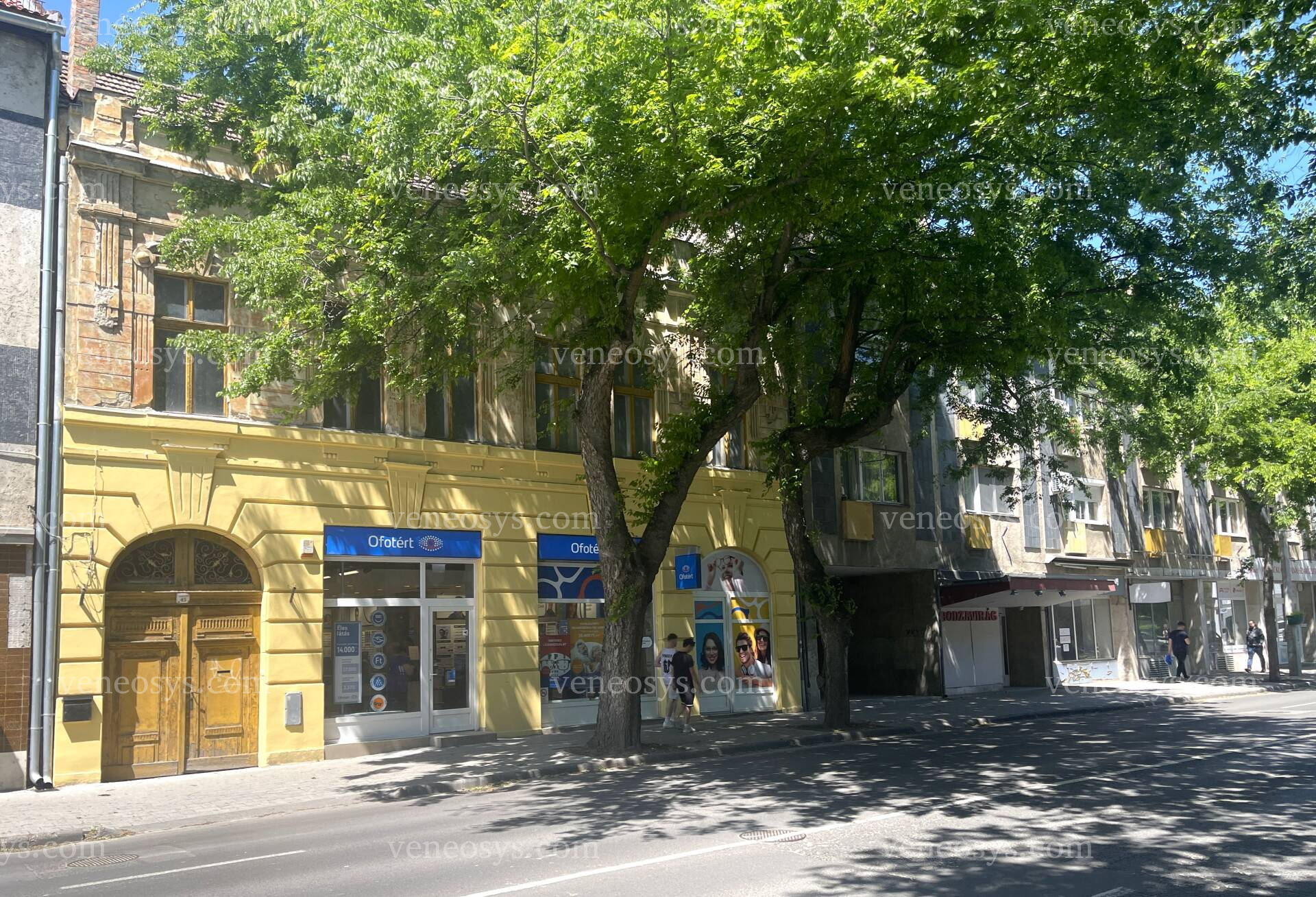 Kép 1