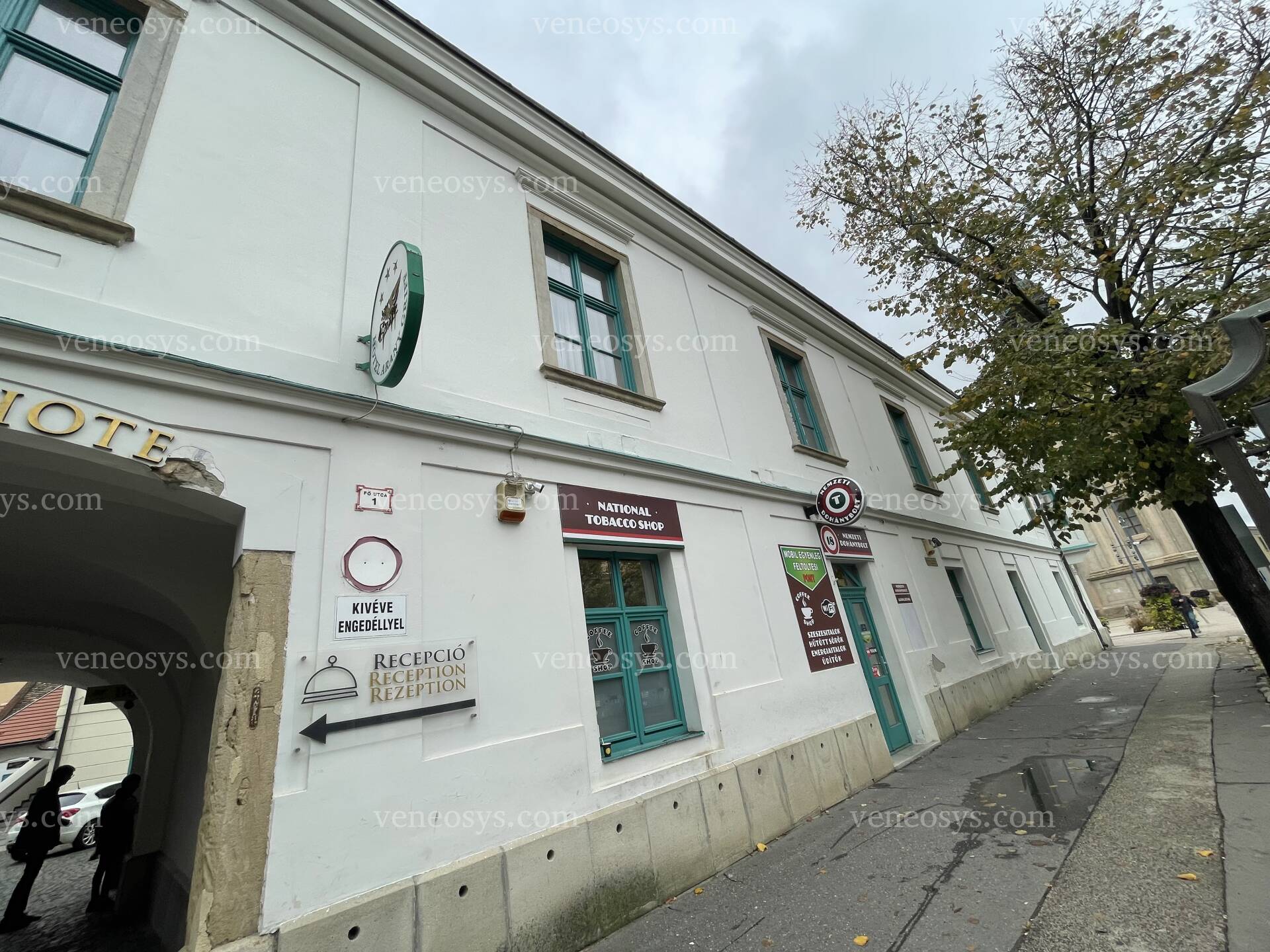 Kép 5