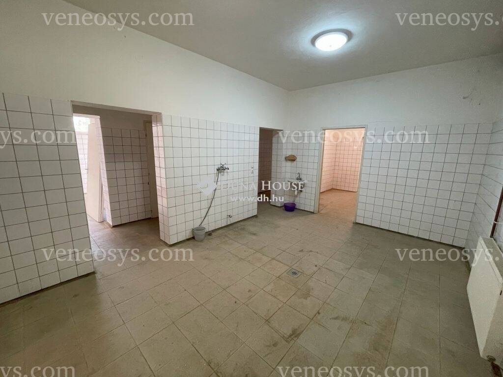 Kép 3