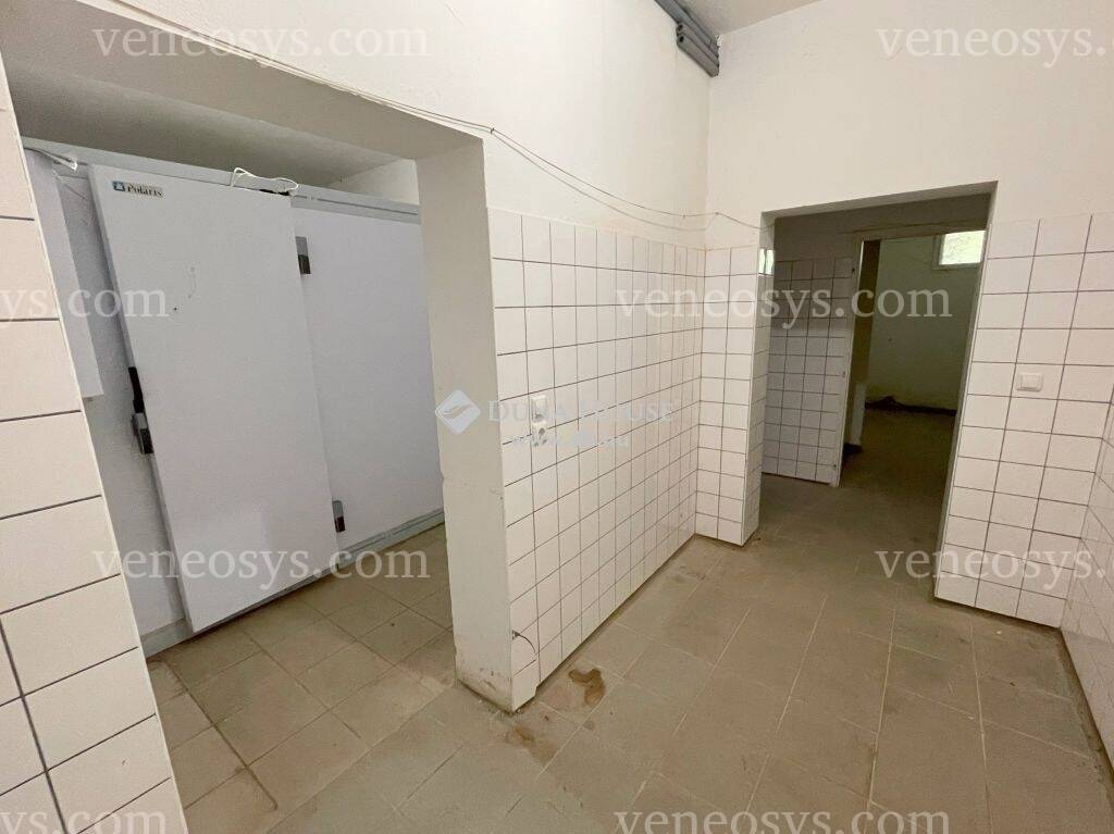 Kép 10