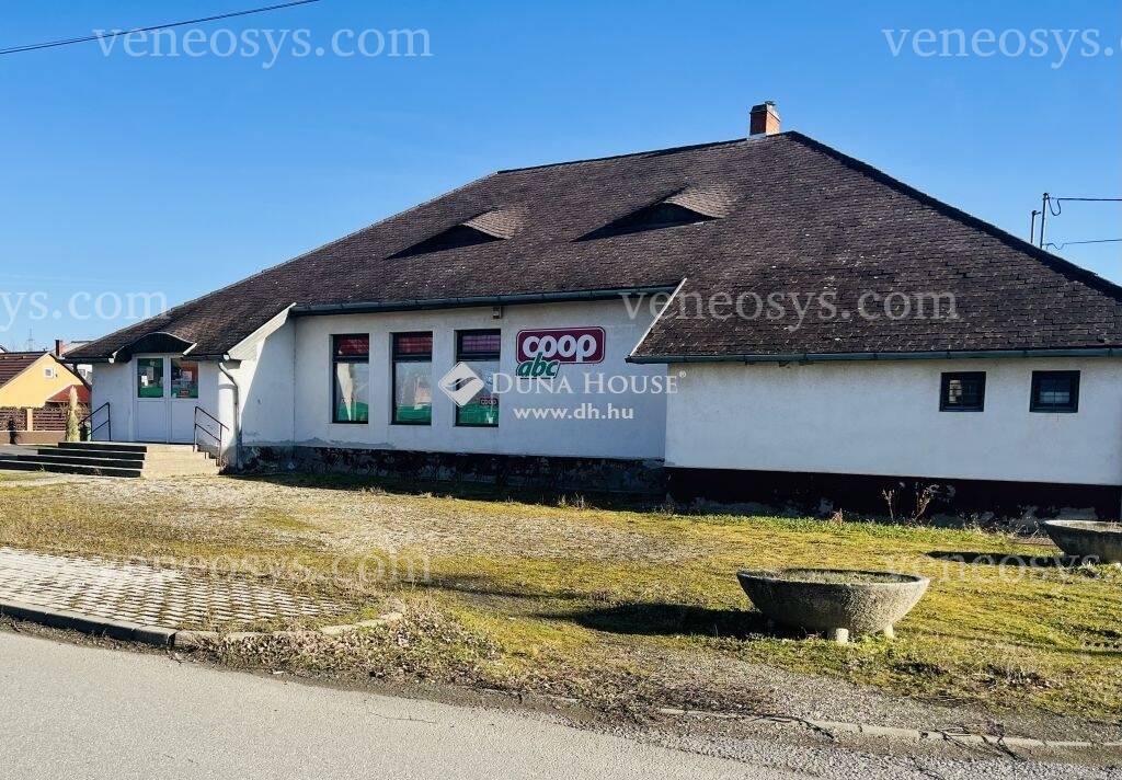 Kép 10