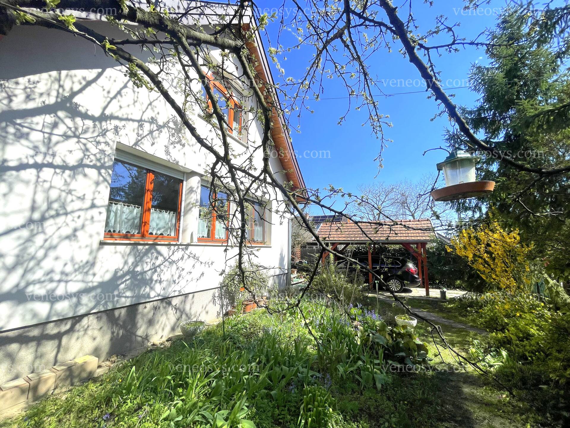 Kép 18