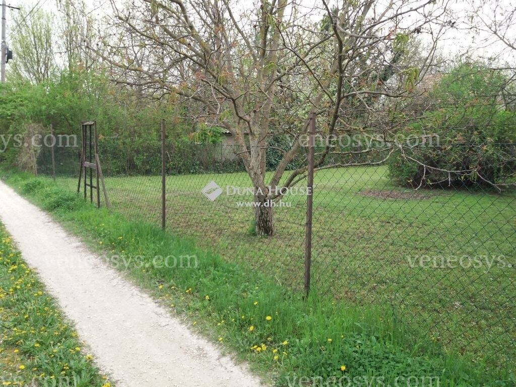 Kép 5