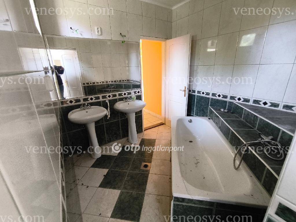 Kép 6
