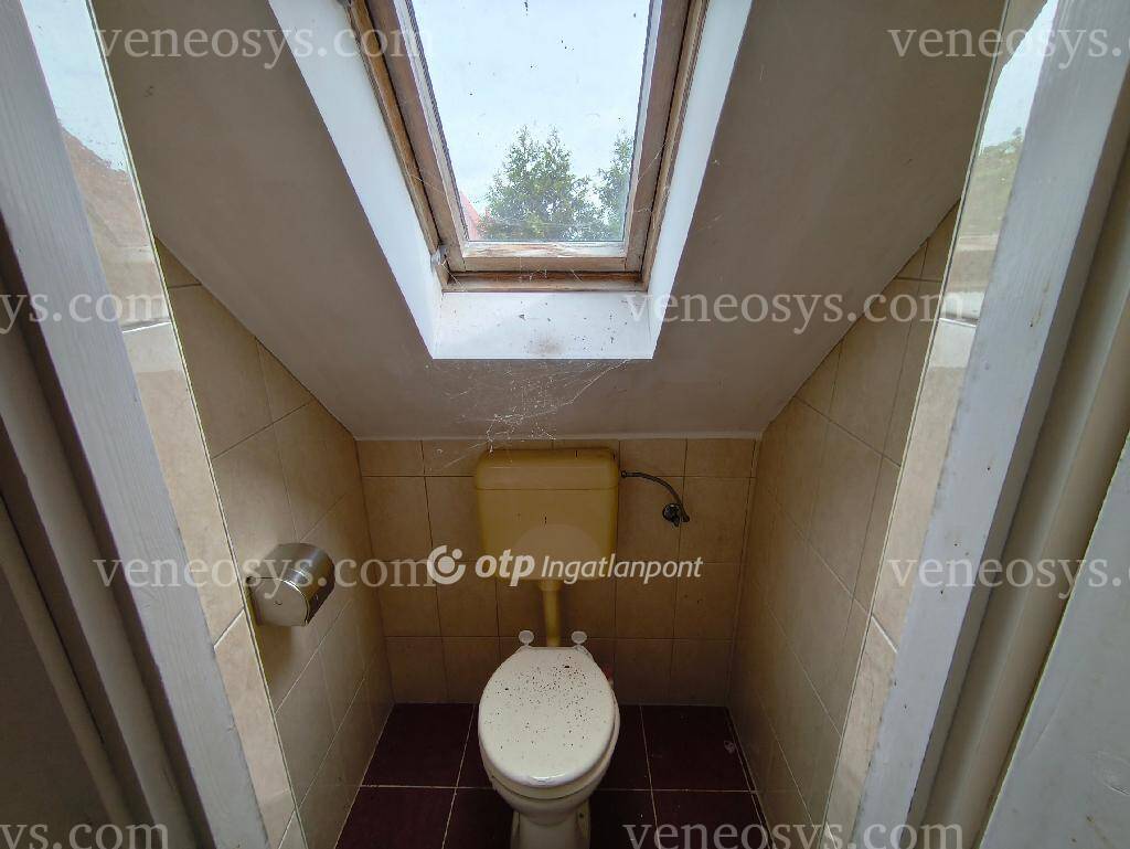 Kép 12