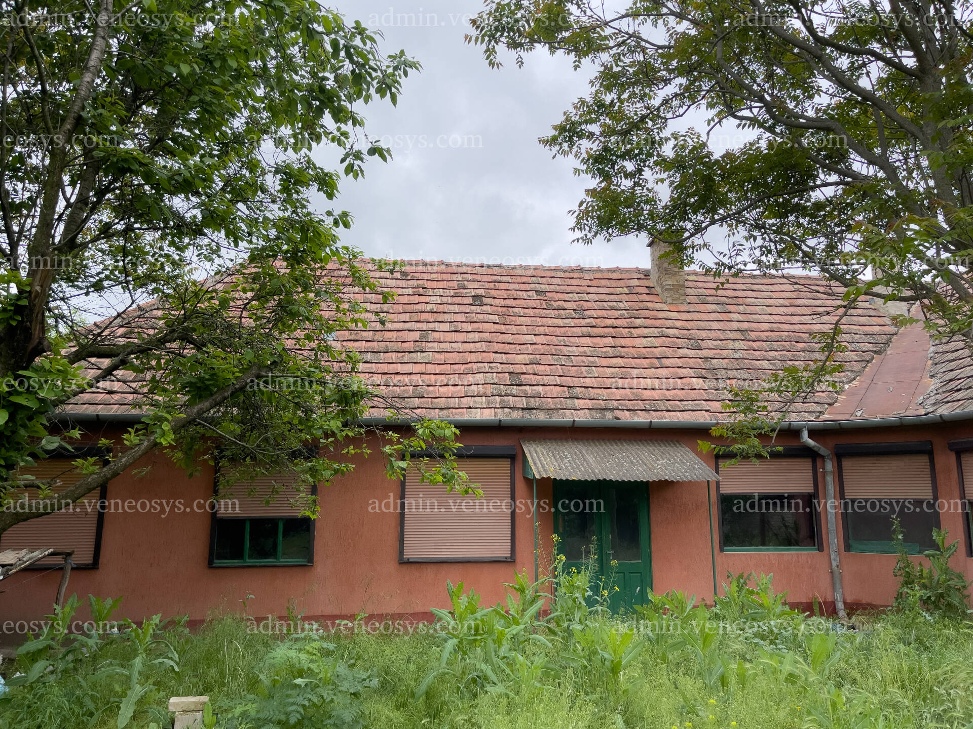 Kép 23