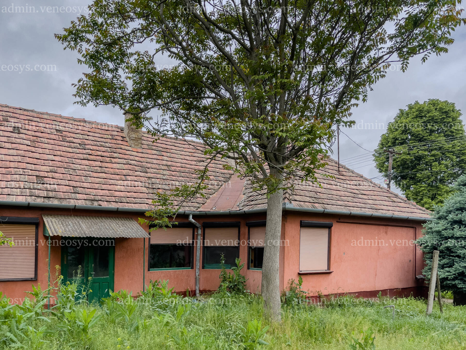 Kép 22