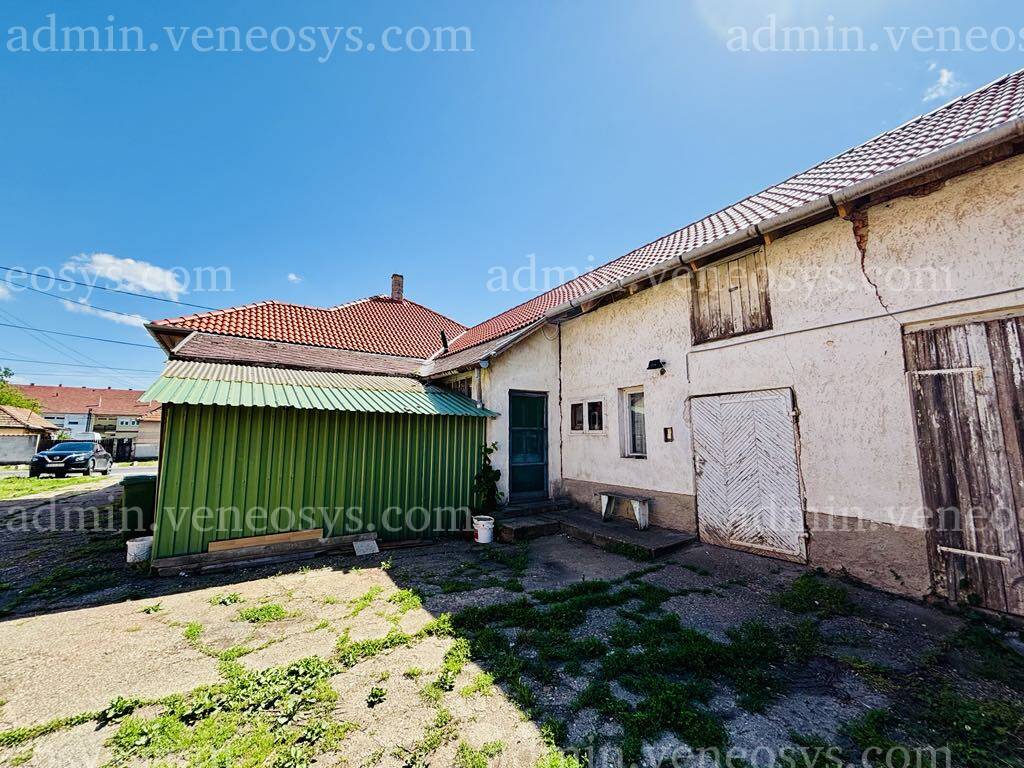 Kép 15