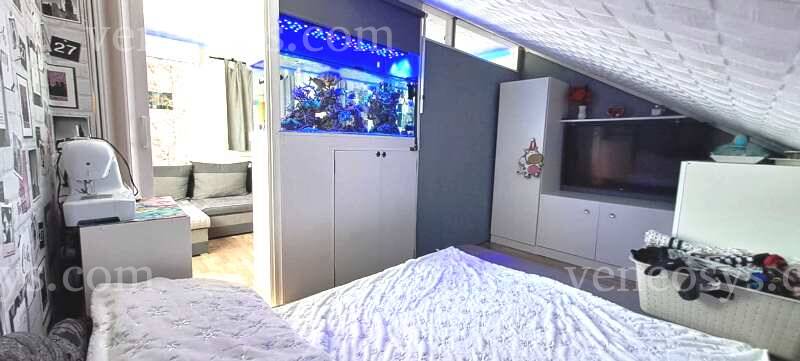 Kép 3