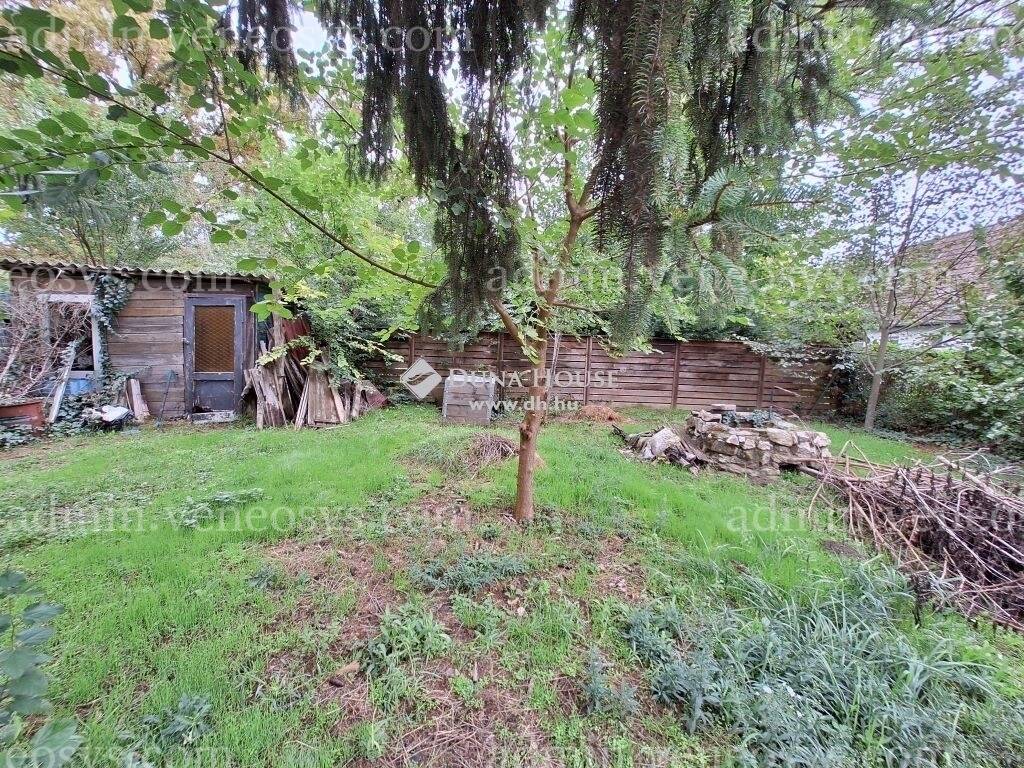 Kép 6