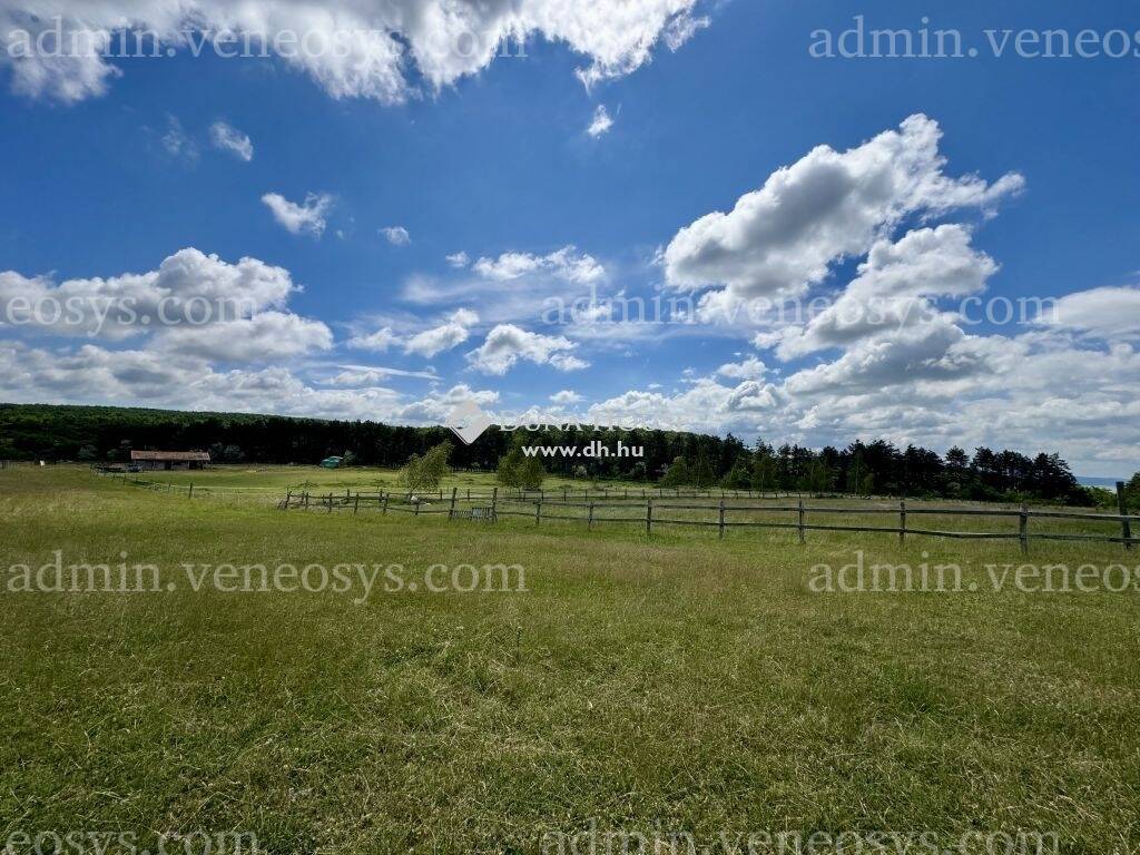 Kép 8
