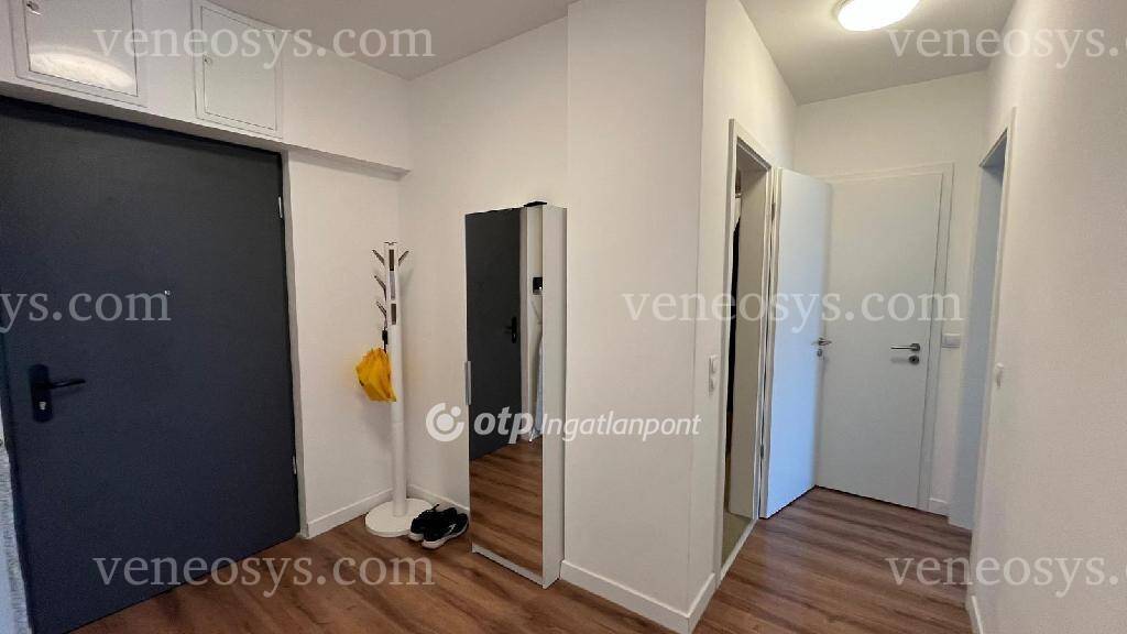 Kép 11